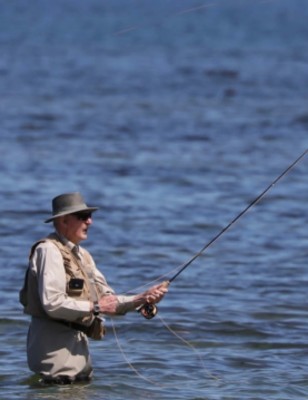 David Mckenzie - Web