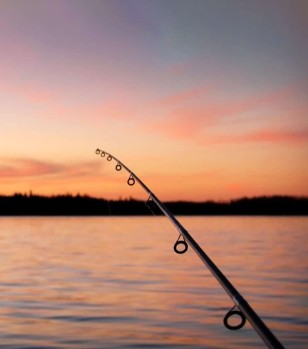 Headshot image of O’BORNE, Margaret